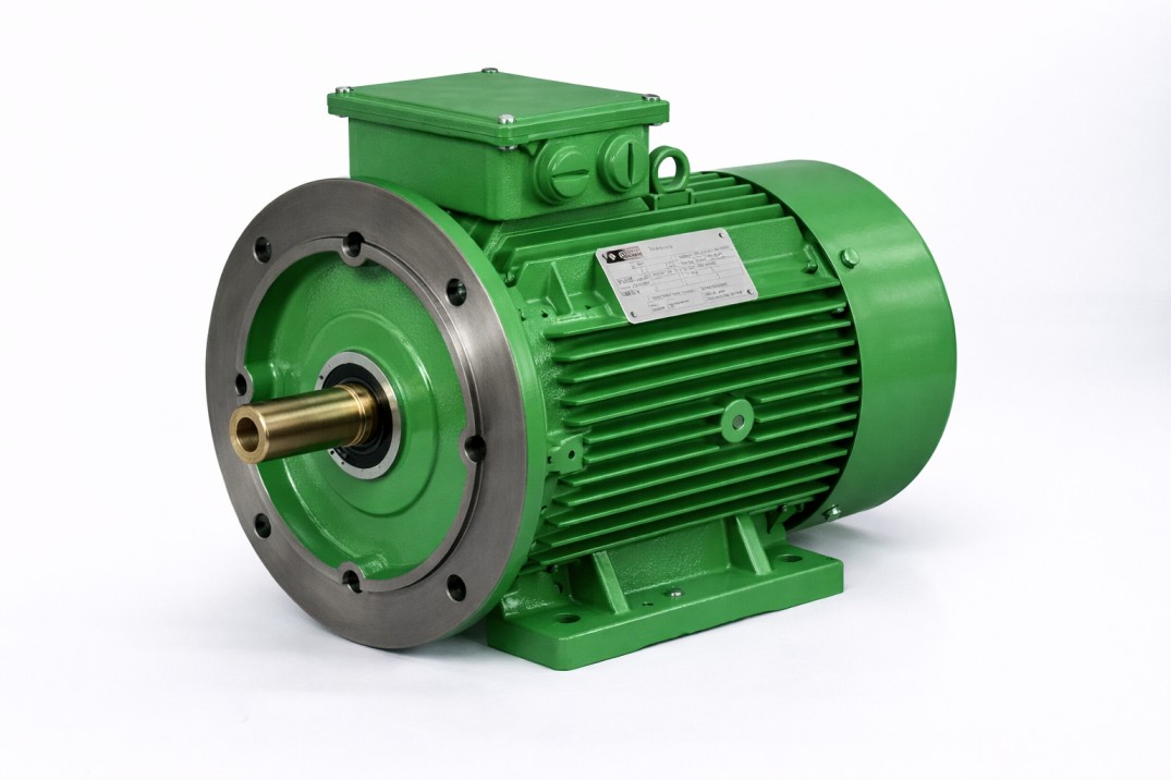 Crane Duty Motor