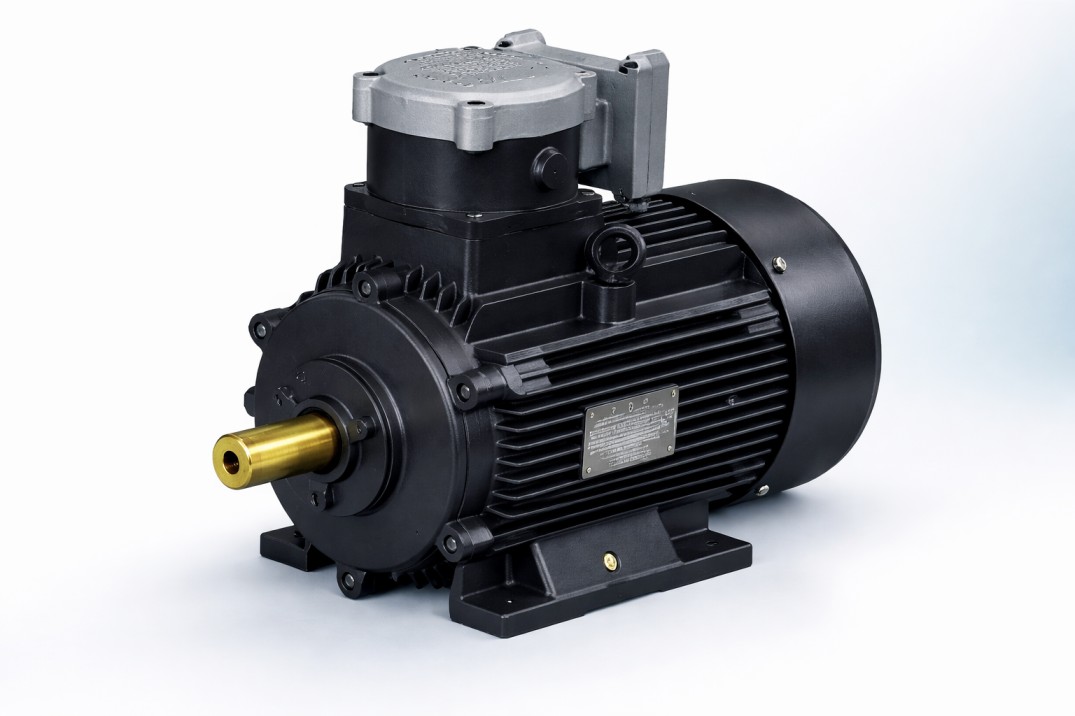 Flameproof Motor
