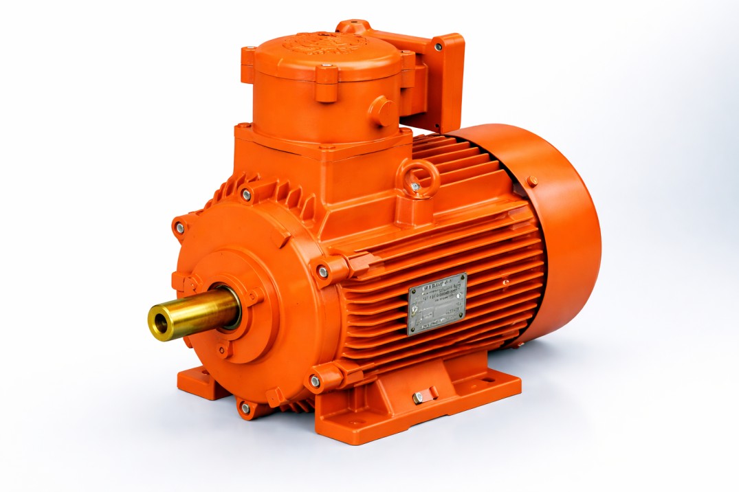 ATEX Motor