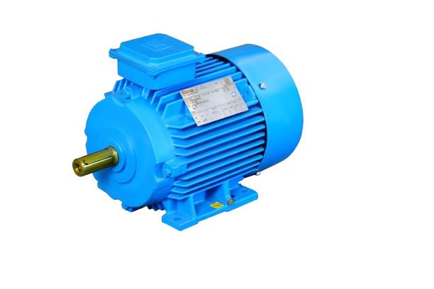 Multi Speed Motor