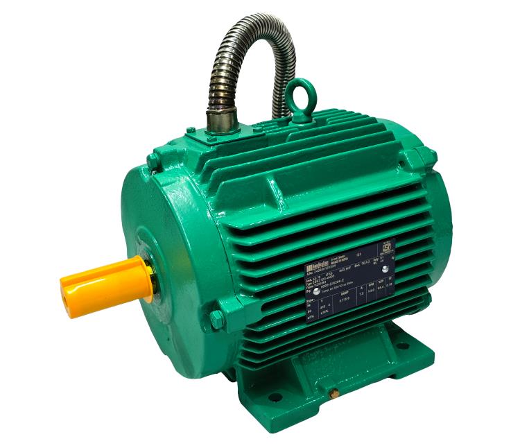 Smoke Extraction Motor