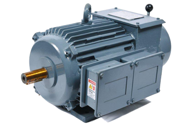 Torque Motor